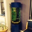 Aquarium in the Children’s Assessment Unit at Dewsbury Hospital